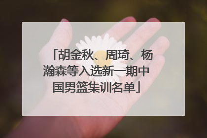 胡金秋、周琦、杨瀚森等入选新一期中国男篮集训名单